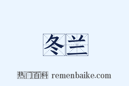 冬兰是什么意思的图片